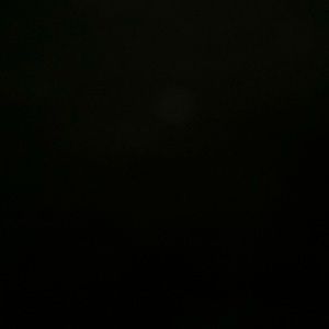 Meet your Posher, Annamarie